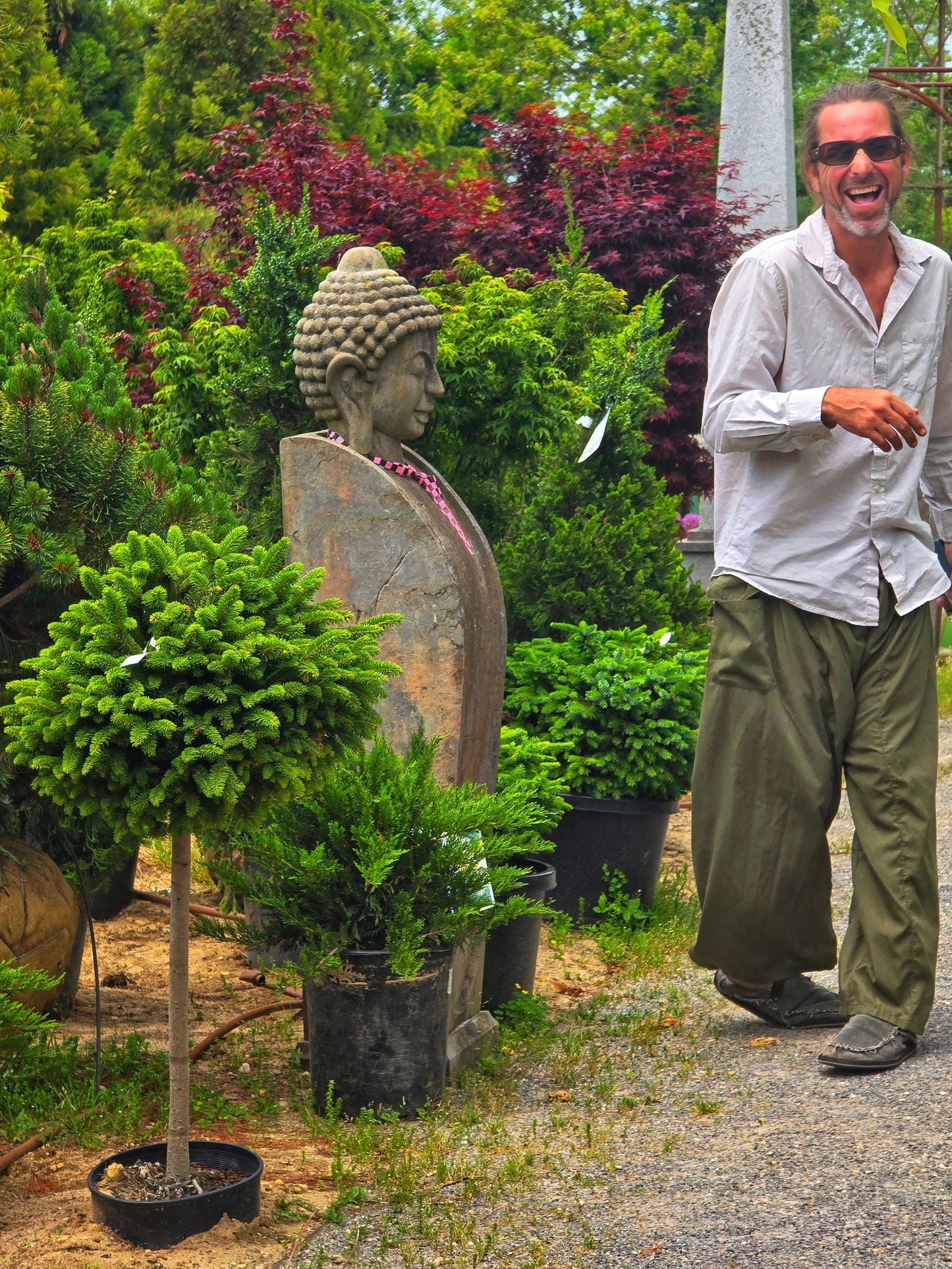 Two-Tone Thai Fisherman Pants - In Love With Trees